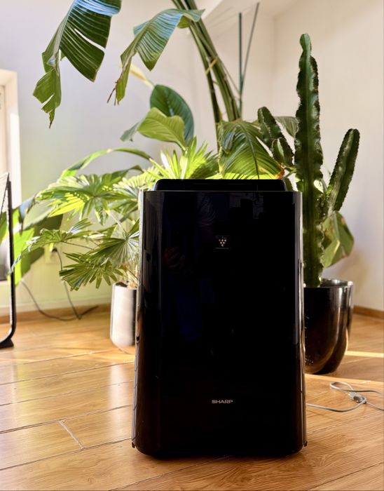 Oczyszczacz powietrza Sharp KC-D40EUB z jonizacja i funkcja nawilzania