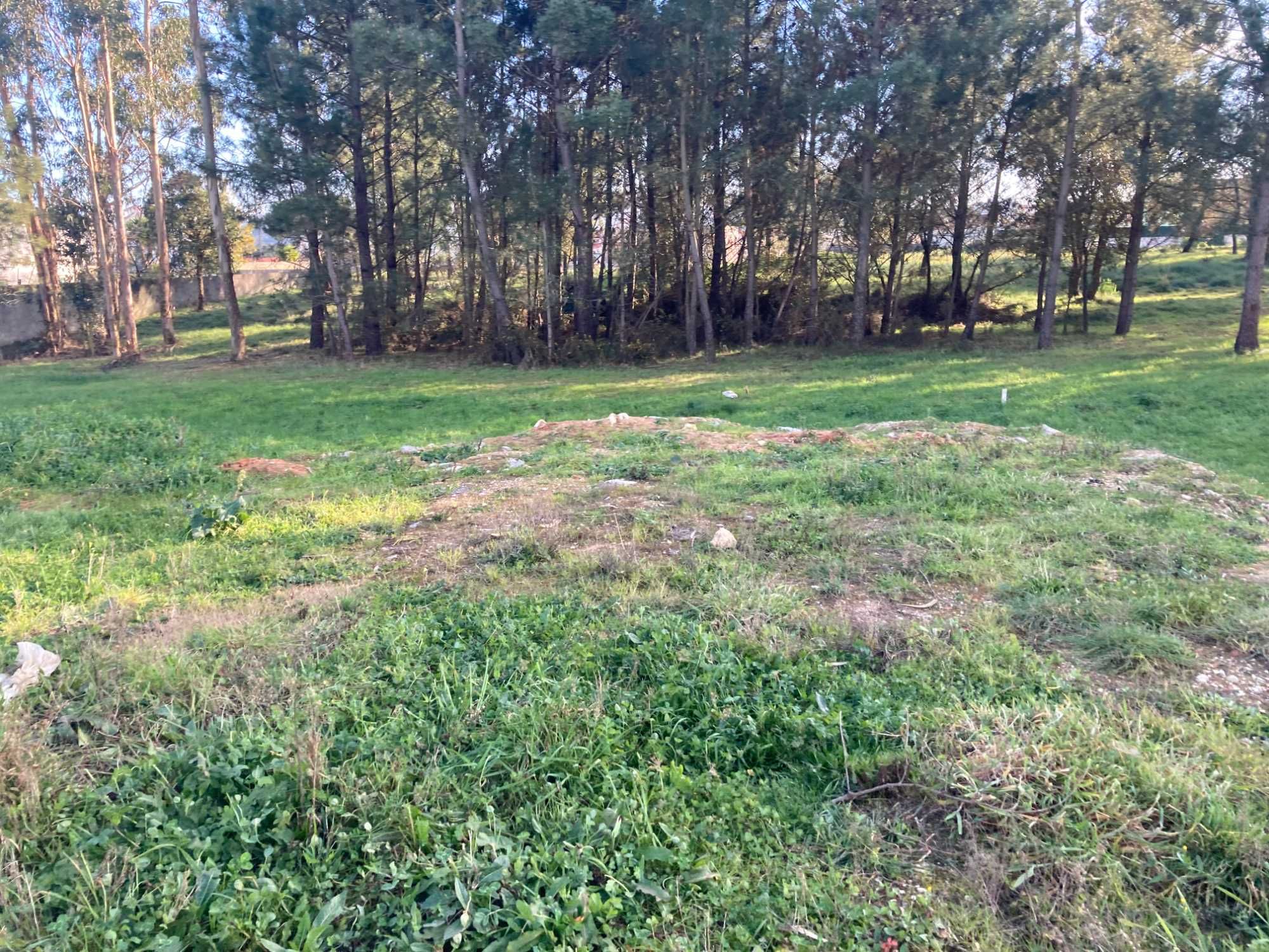 Baixa! Terreno urbano com 6360 m2, em São Jorge, ao pé do McDonald's