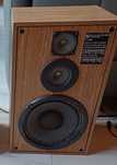 Kolumna TONSIL Unitra Dynamic Speaker DS3 40W - sprawna, tanio