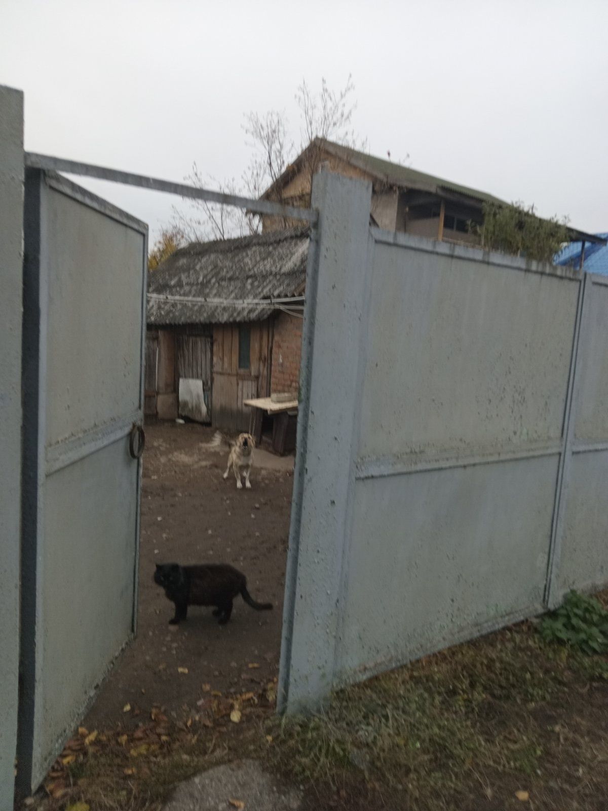 Продам  дом в Путивле