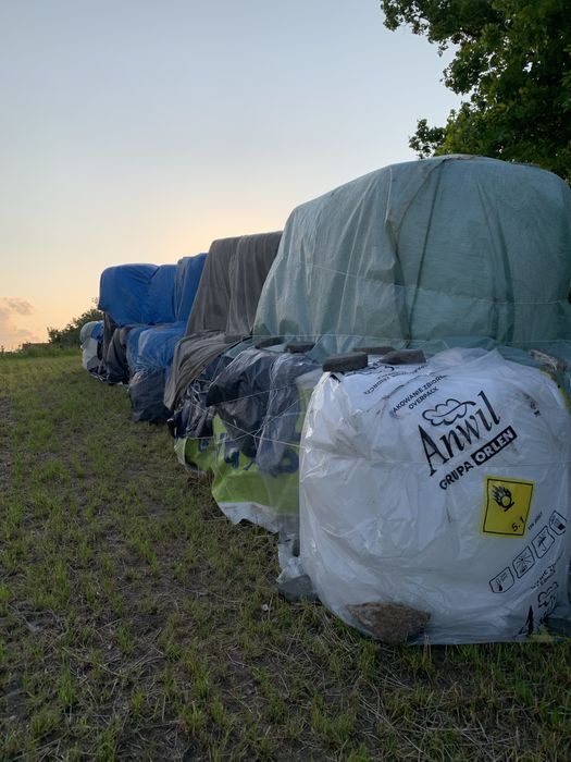 Bele siankoiszonka 2025 pierwszy pokos 30 bel mocno zbite