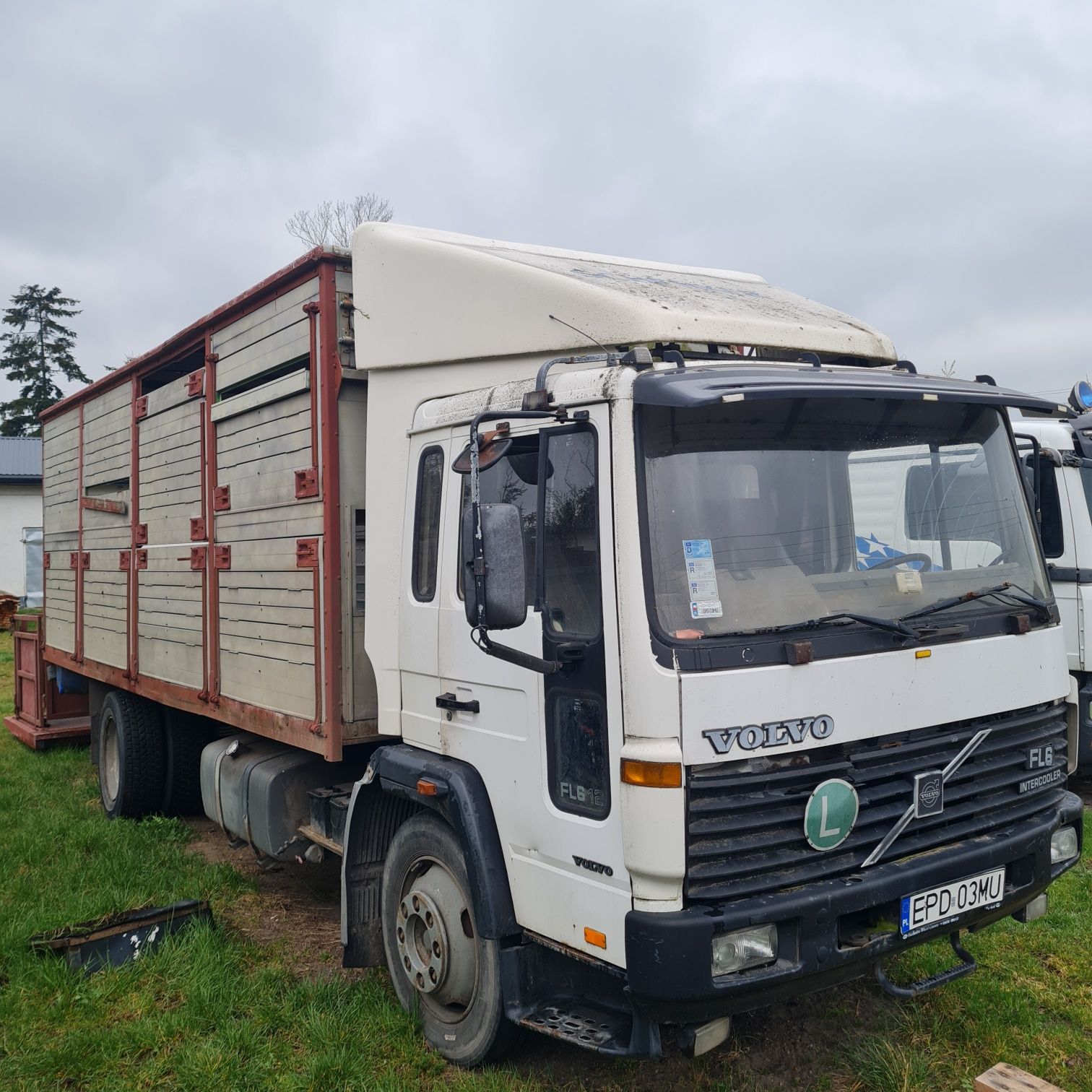 Volvo FL6 12 do żywca, bydła,  zwierząt