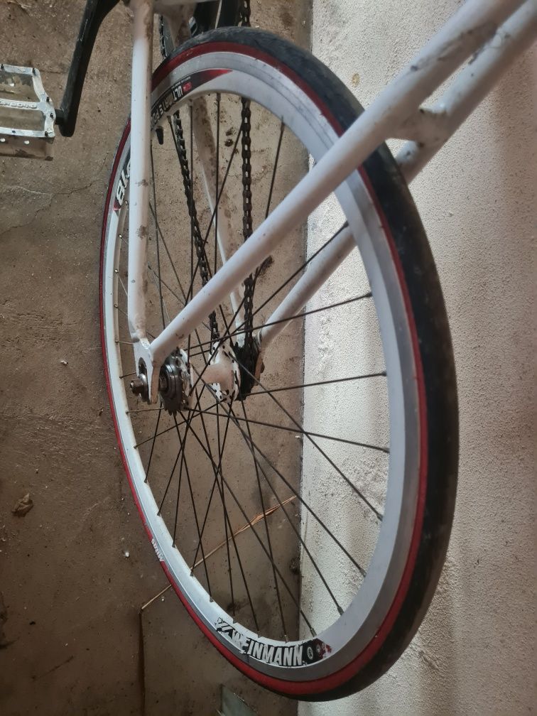 Bicicleta de ciclismo roda livre