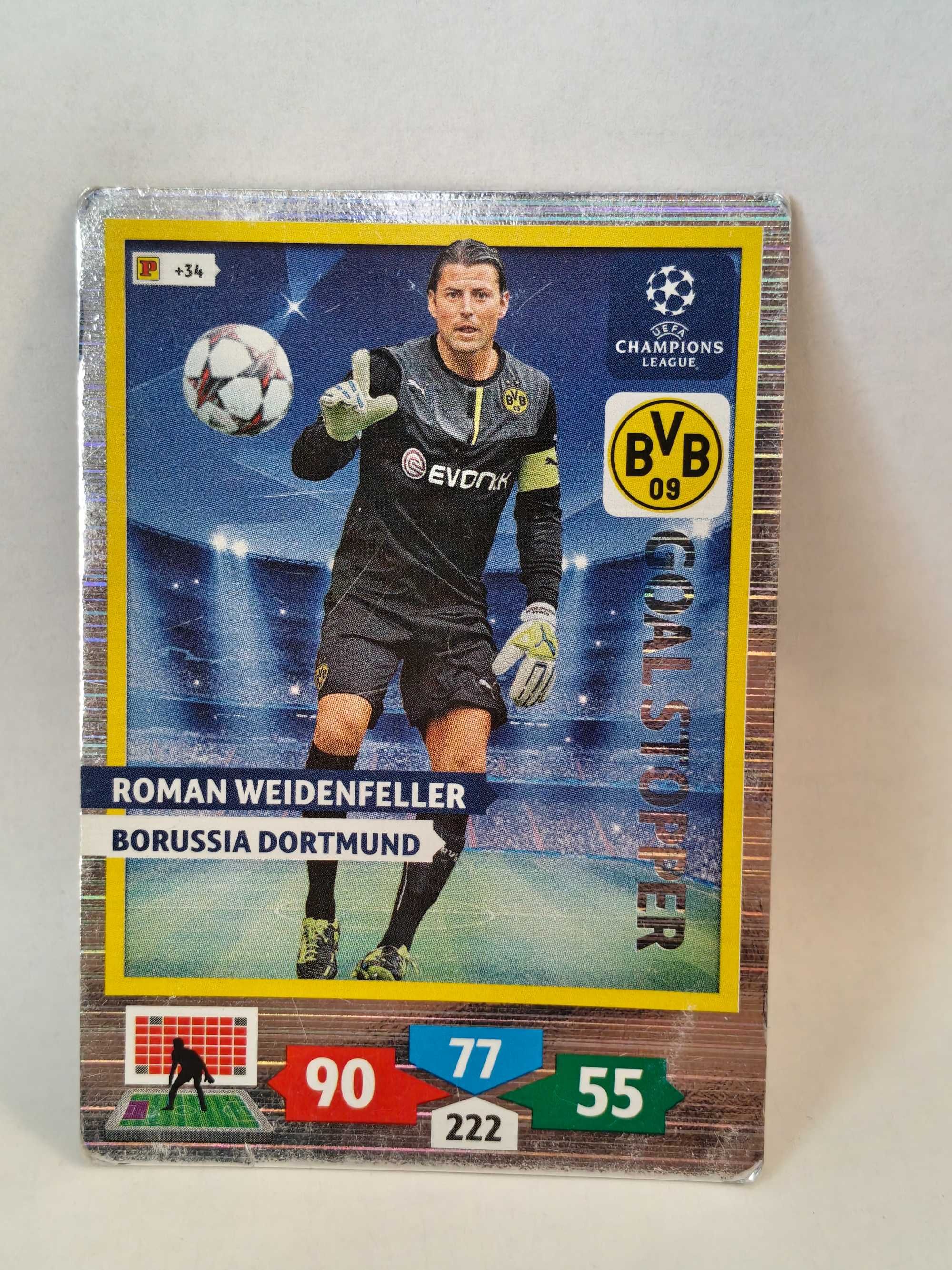 Karty Panini Champions League 2013-14