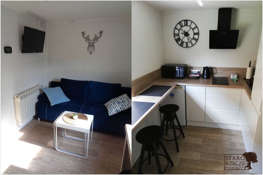 Noclegi -Apartament Starorzecze koło Zatora