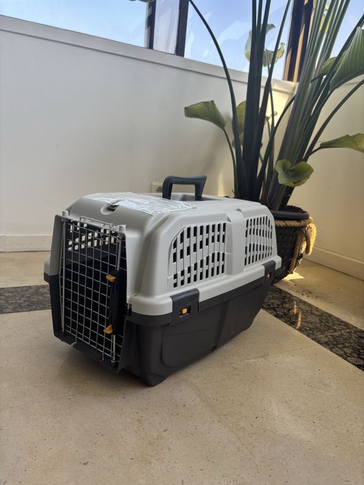Caixa de transporte animal