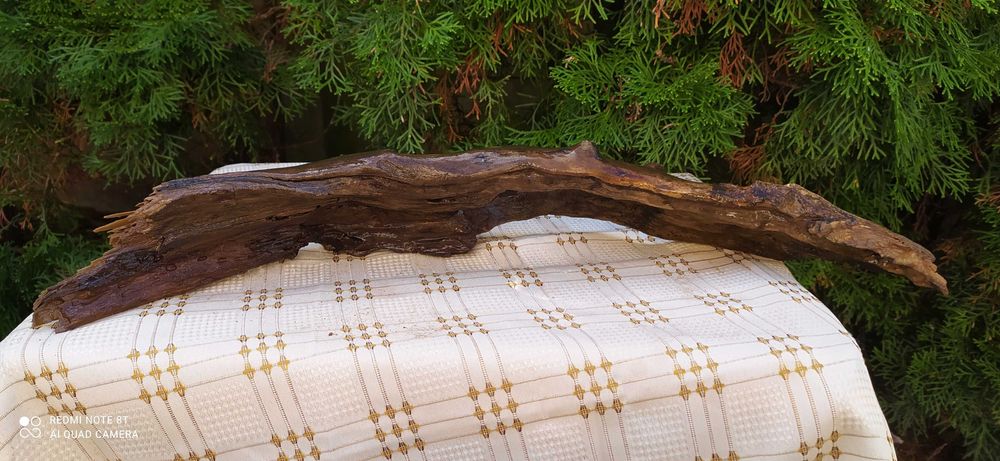 Konar z otworem do akwarium-57 cm