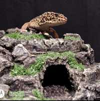 Домик,укрытие для рептилий,для эублефаров и мелких рептилий