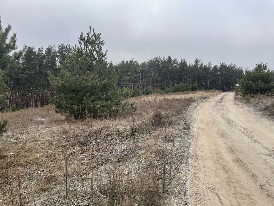 Ділянка біля лісу 10 соток