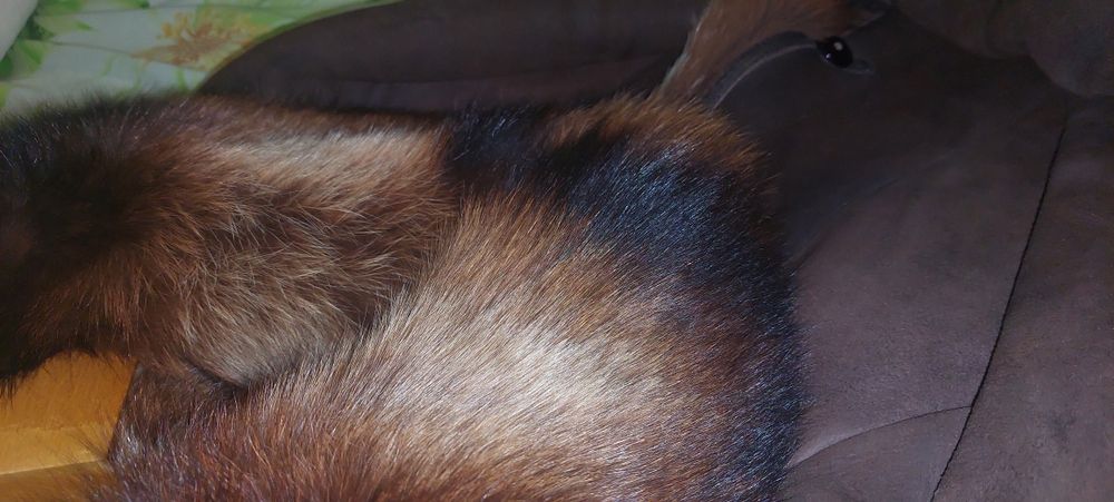 Продам дублянку жіночу