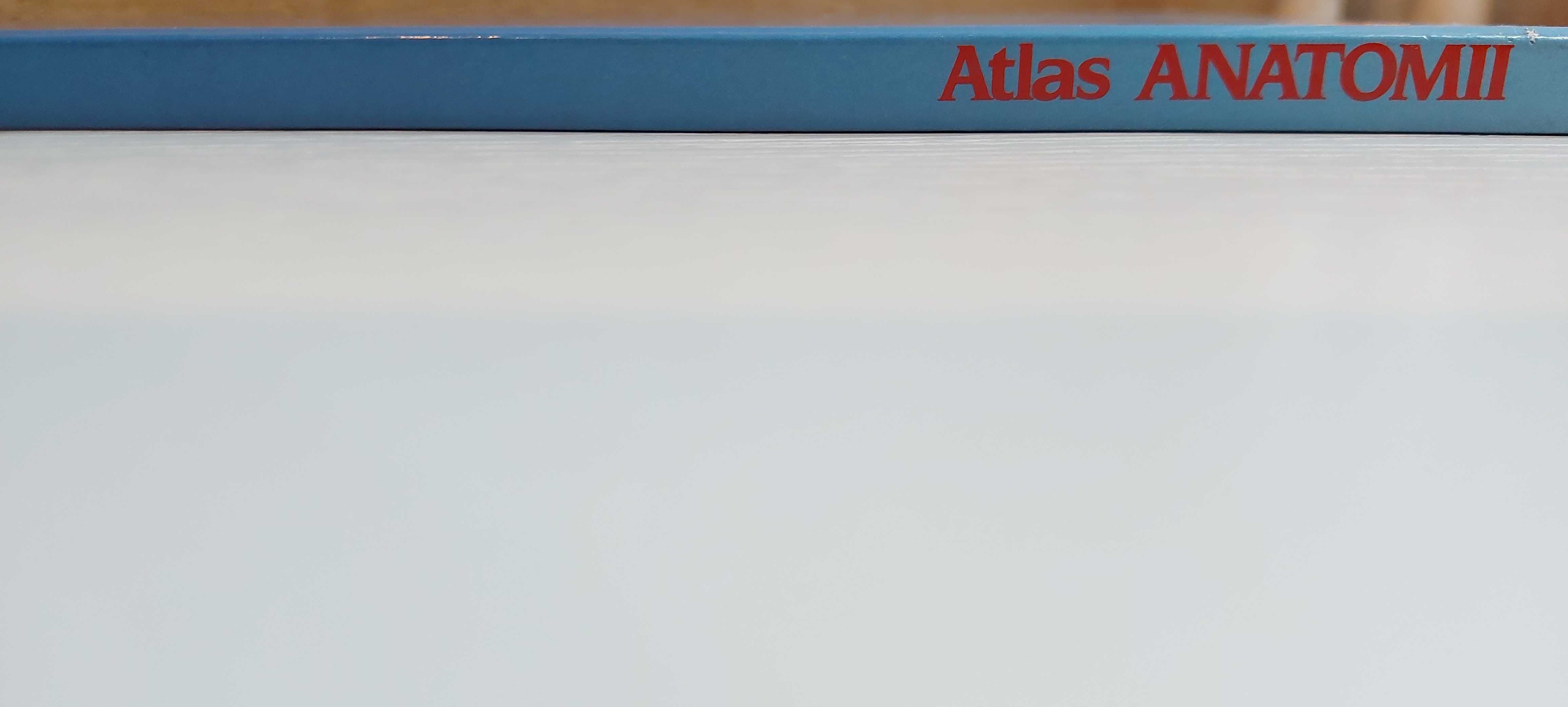 Atlas anatomii 1991