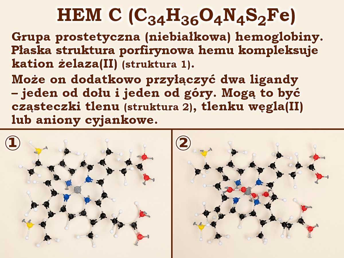 Modele atomów CHEMIA ORGANICZNA związki kompleksowe, 275 elementów