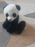 Fajny pluszak panda.