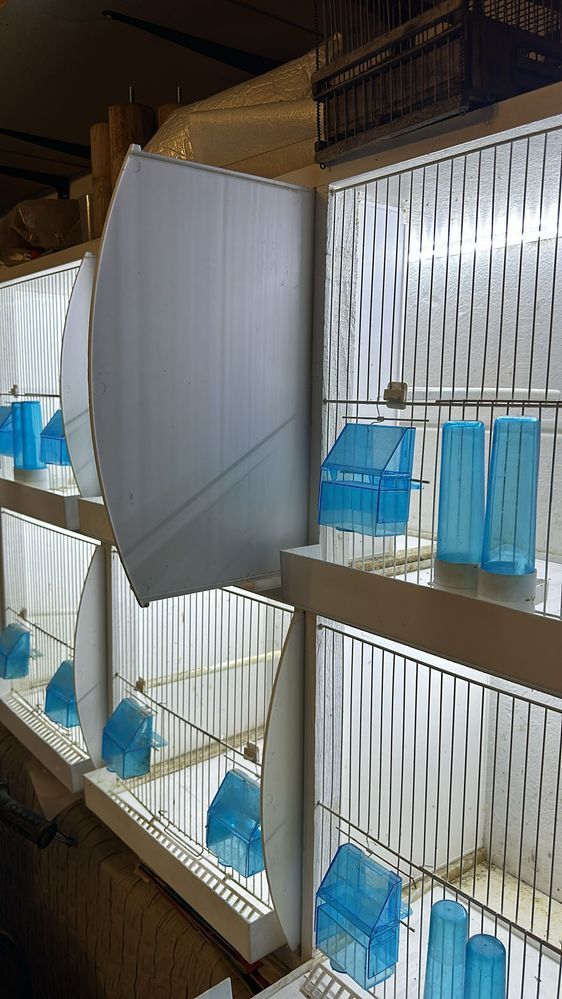 Várias gaiolas aves despachar
