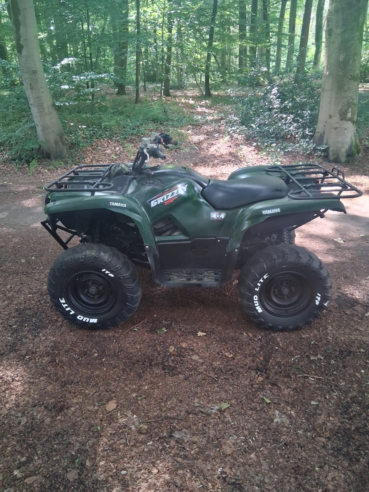 Quad Yamaha Grizzly