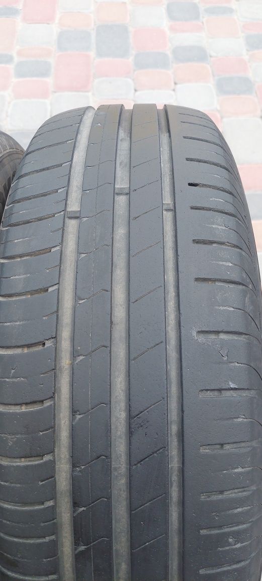 Hankook kinerdgy літо 195 65 15