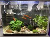 Akwarium invital 49L