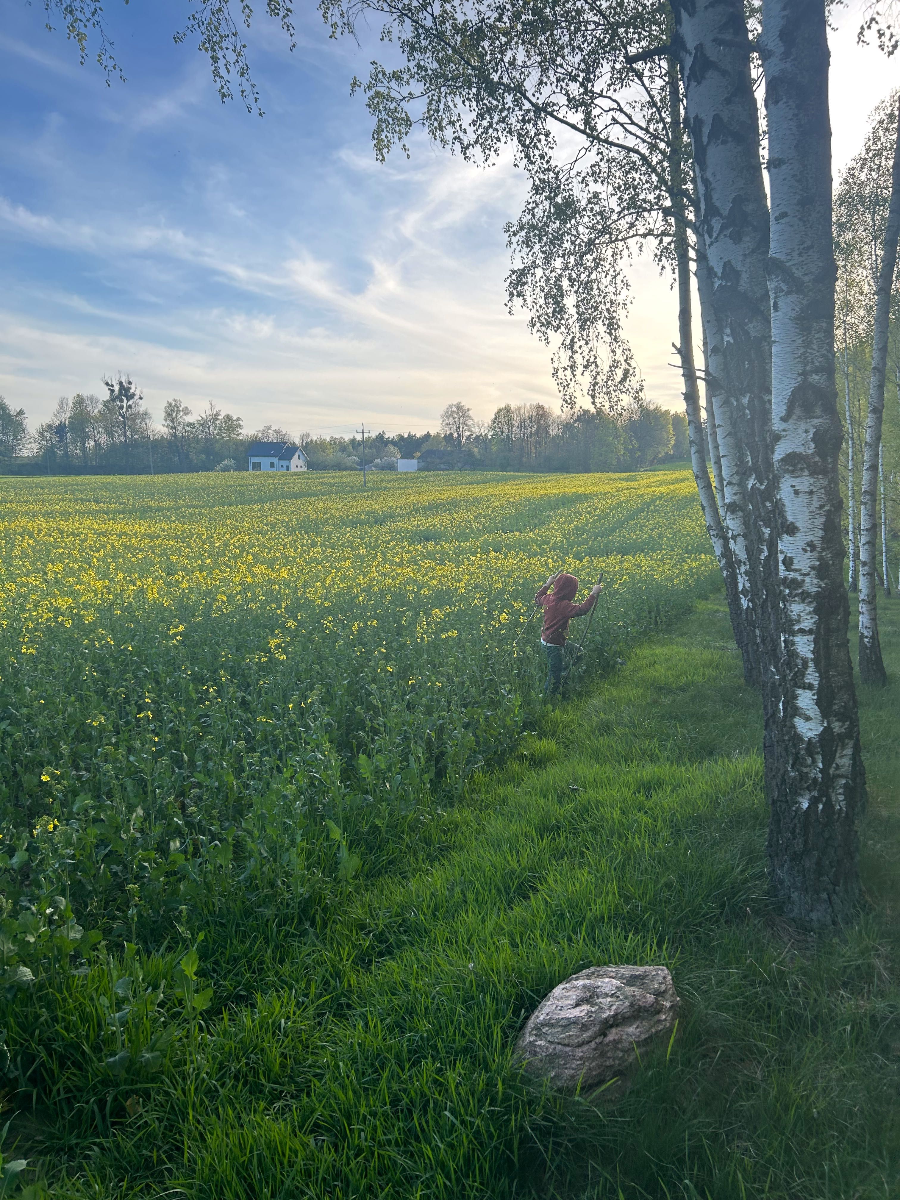 Sprzedam działkę rolną Nowe Wągry