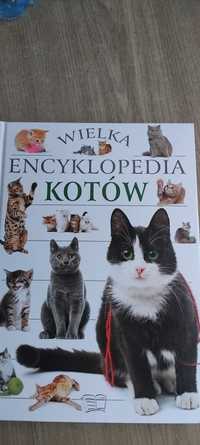 Encyklopedia Kotów