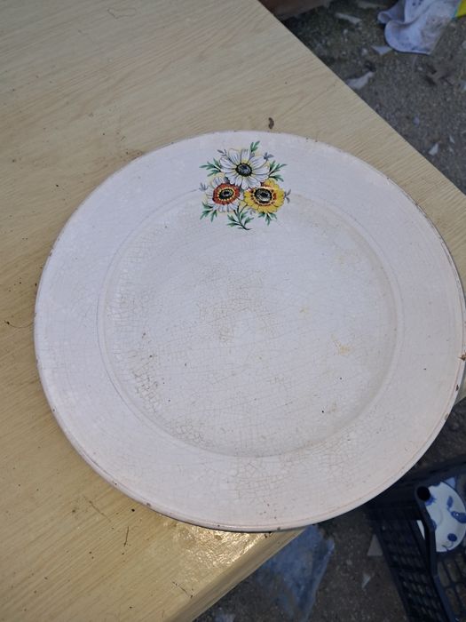 Prato malmequer,louca de sacavem