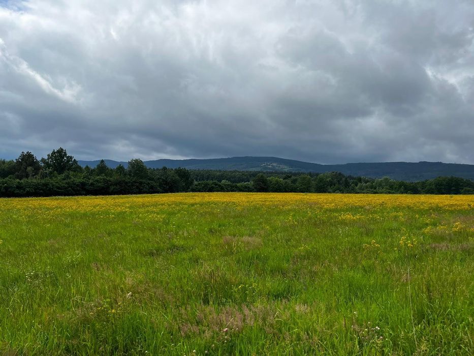 Działka budowlana w górach na sprzedaż - Starków, Kotlina Kłodzka