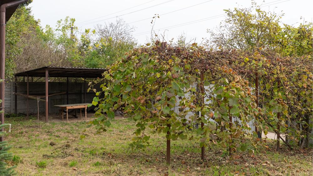 Будинок дача з ремонтом Седнев груба скважина погреб