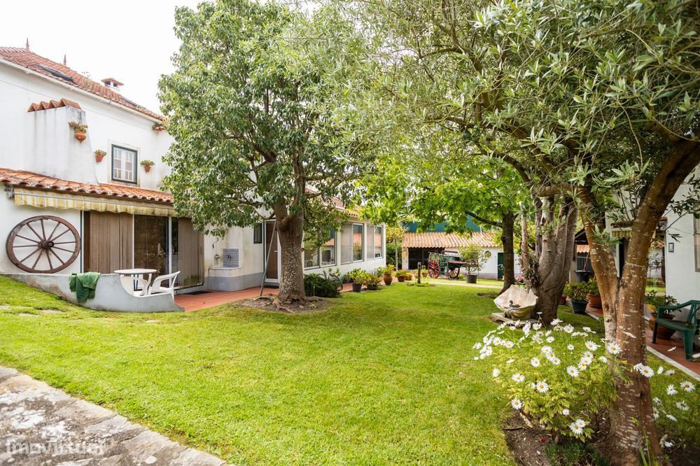 Moradia Independente em Cadaval - Pêro Moniz