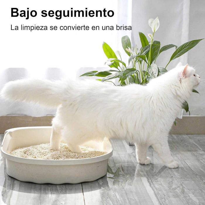 AREIA DE TOFU, aglomerante para gatos, pode ser descartado na sanita