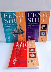 Feng Shui 3x Wędrującej gwiazdy, Praktyczne zastosowania, Szkoły kompa
