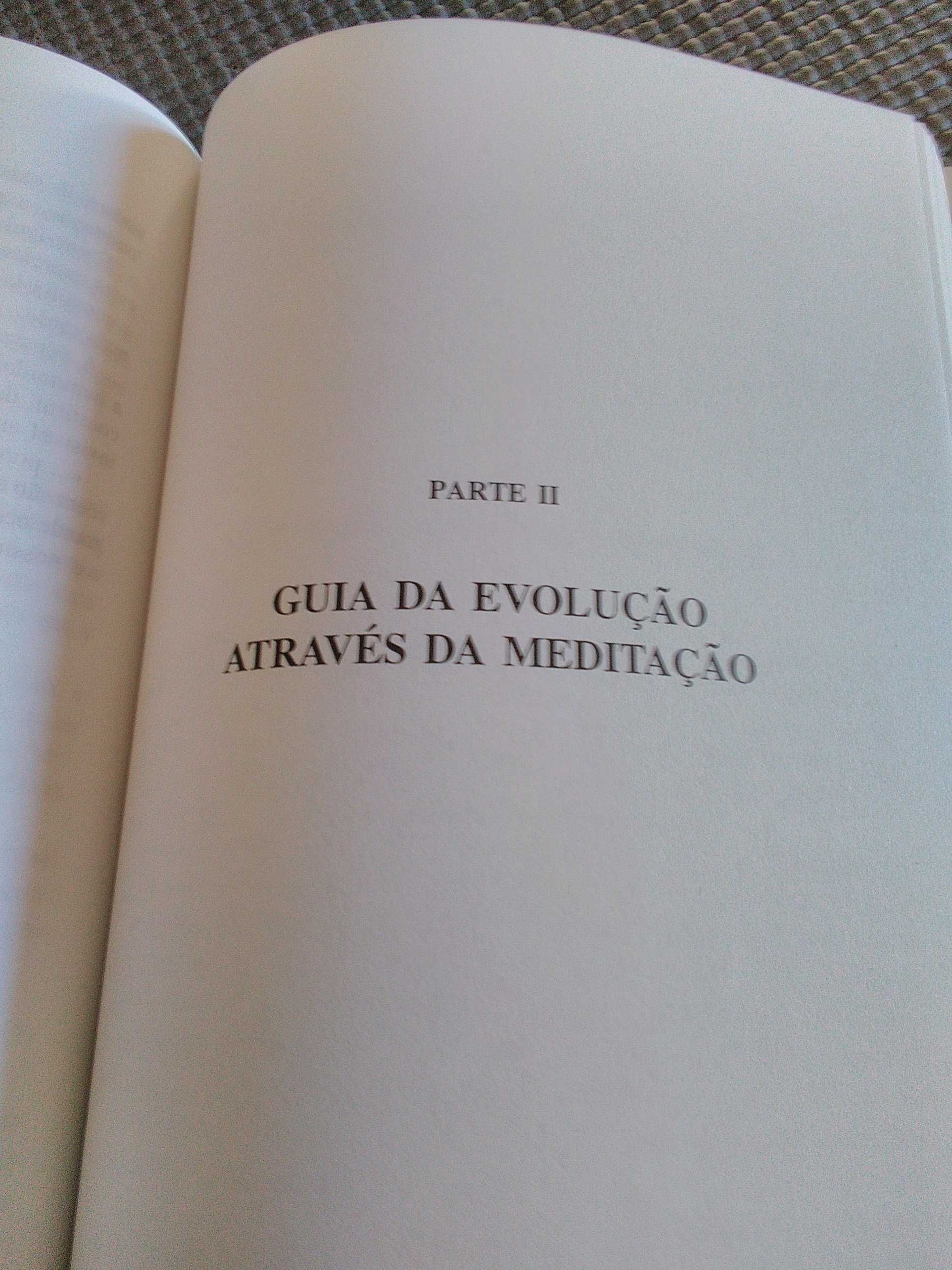 Meditação e desenvolvimento humano de Genevieve Lewis Paulson