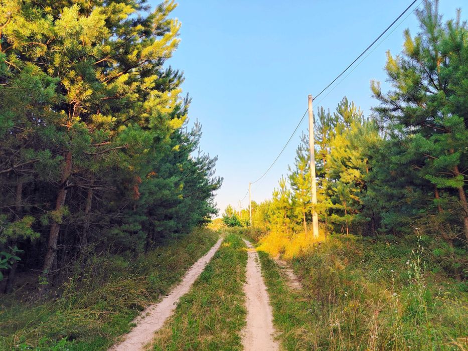Місце мрії! 15 соток під забудову прямо в лісі, біля озера.