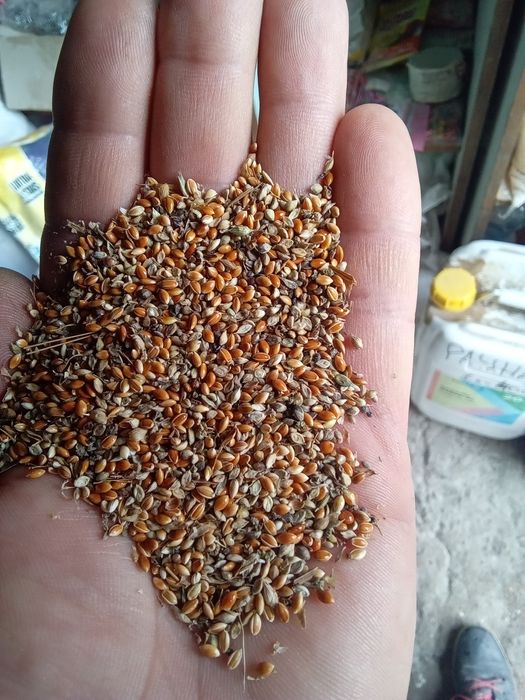 Продам висівку. Комбікорм.січку.макарони. мучку