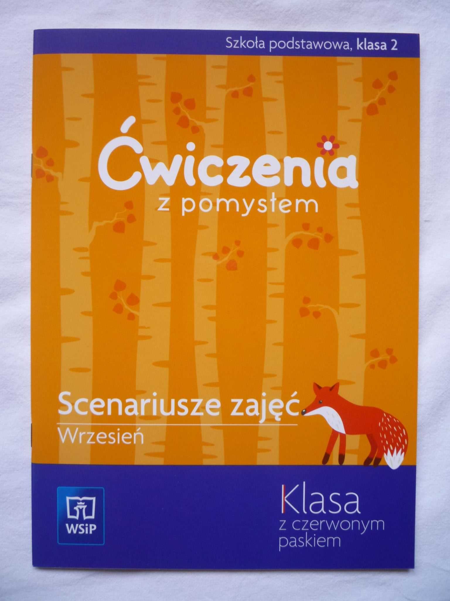 WSiP Ćwiczenia z pomysłem kl 2 Scenariusze zajęć Konspekty