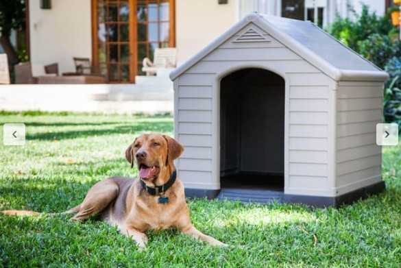 Casota para Cão - tamanho grande