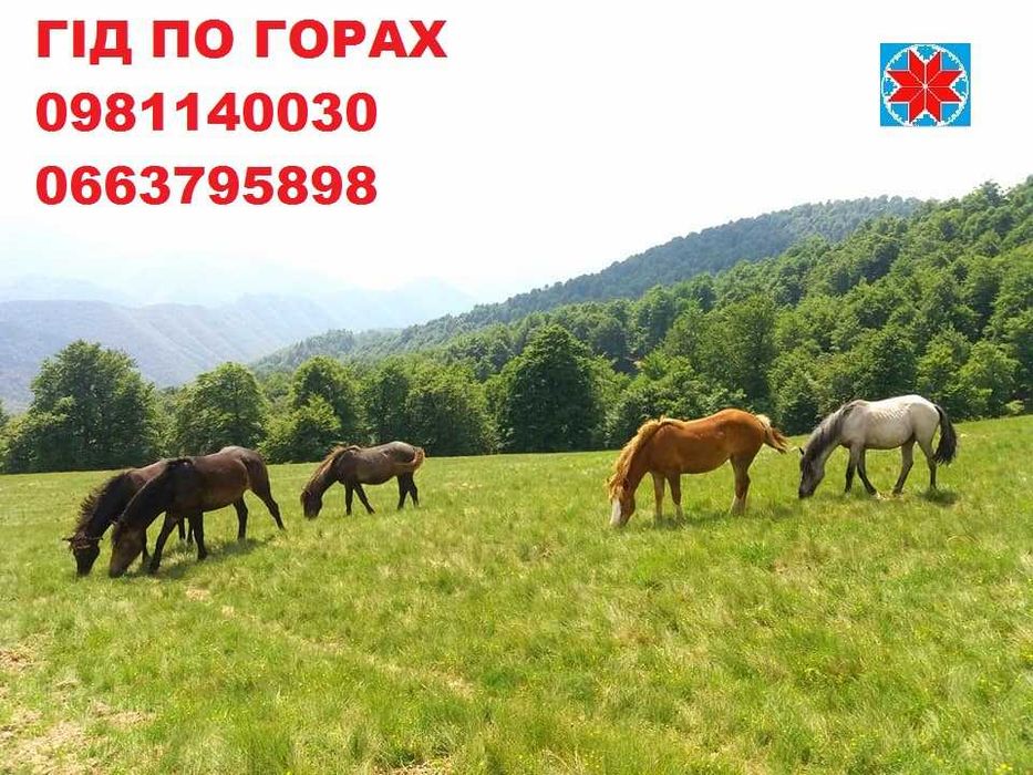 Похід на гору Хомяк, Гід на Хом'як, Провідник на Хомяк, Гора Хомяк Тур