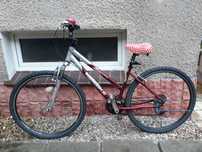 Rower Unibike Crossfire 28" muchomorek