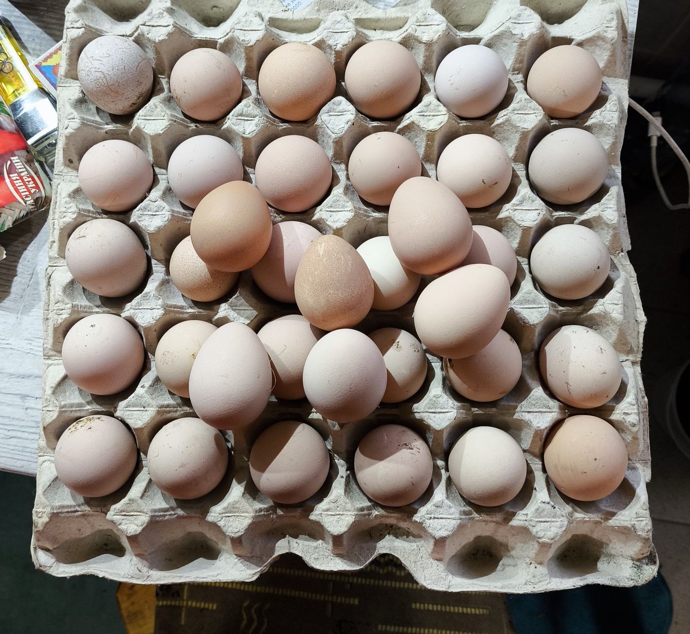 Продаются яйца цесарки