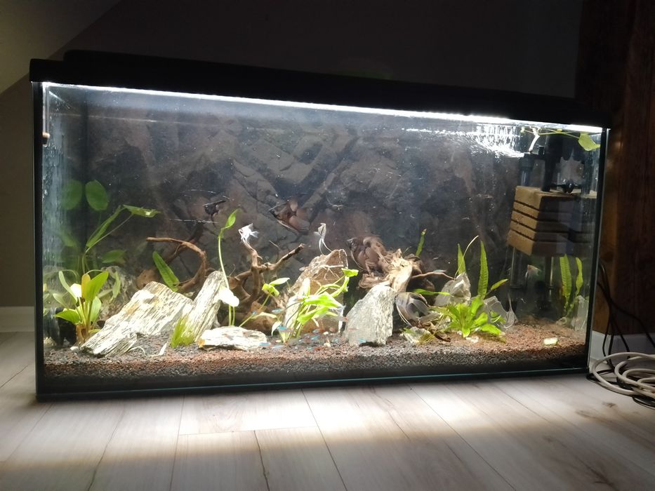 Akwarium 200l + zestaw.