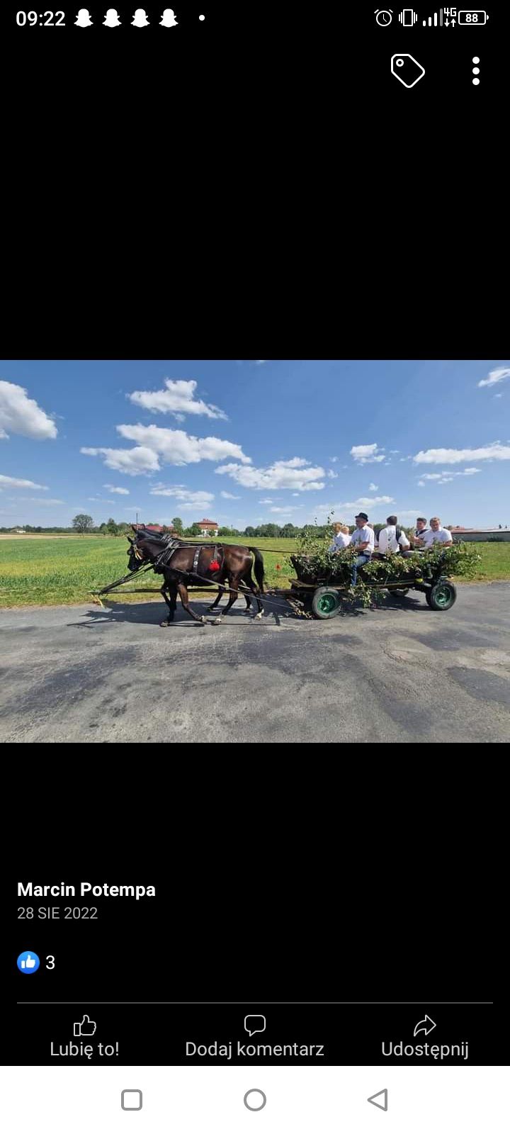 Klacz SP kara do hodowli i rekreacji