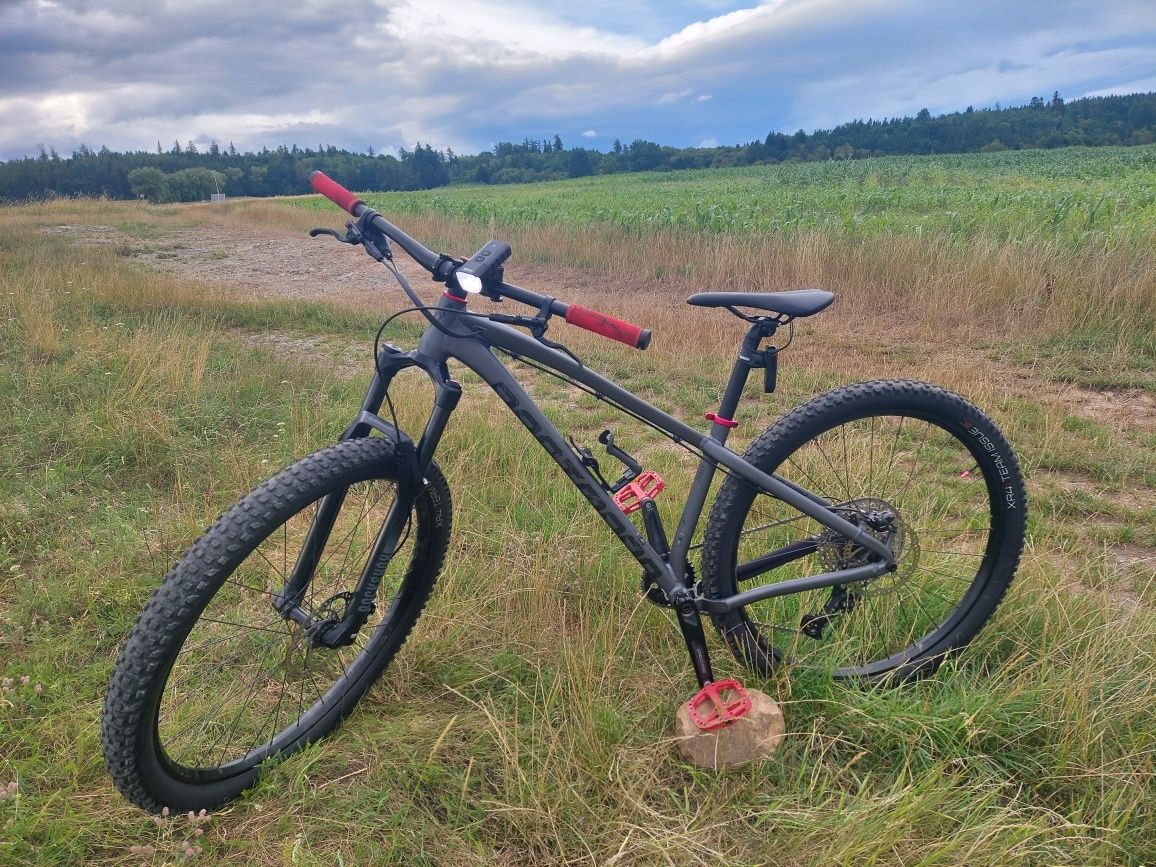 Dartmoor Primal 29 rozm. S