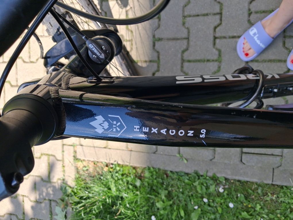 Rower Kross Hexagon 5.0