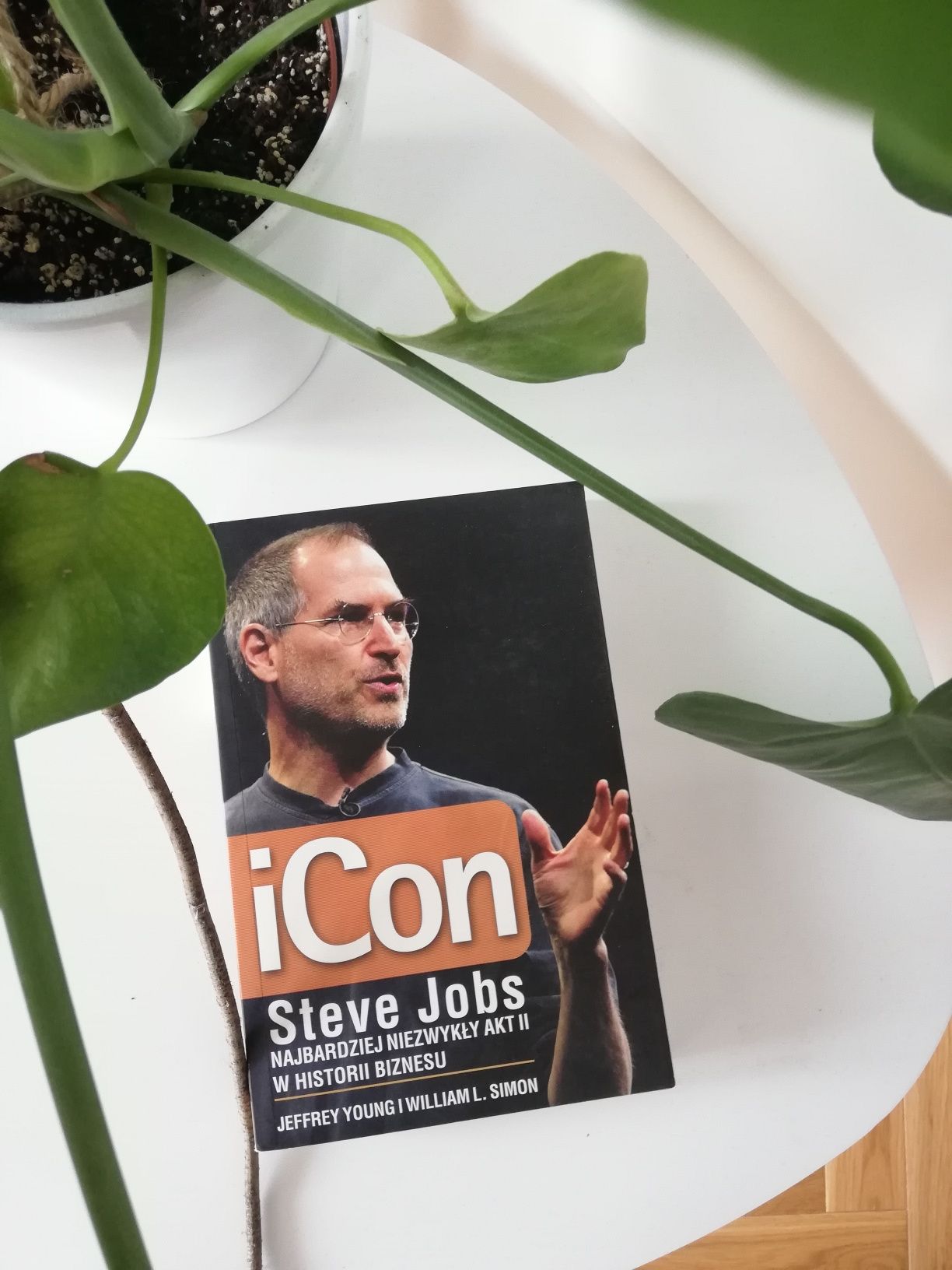 iCon Steve Jobs - biografia