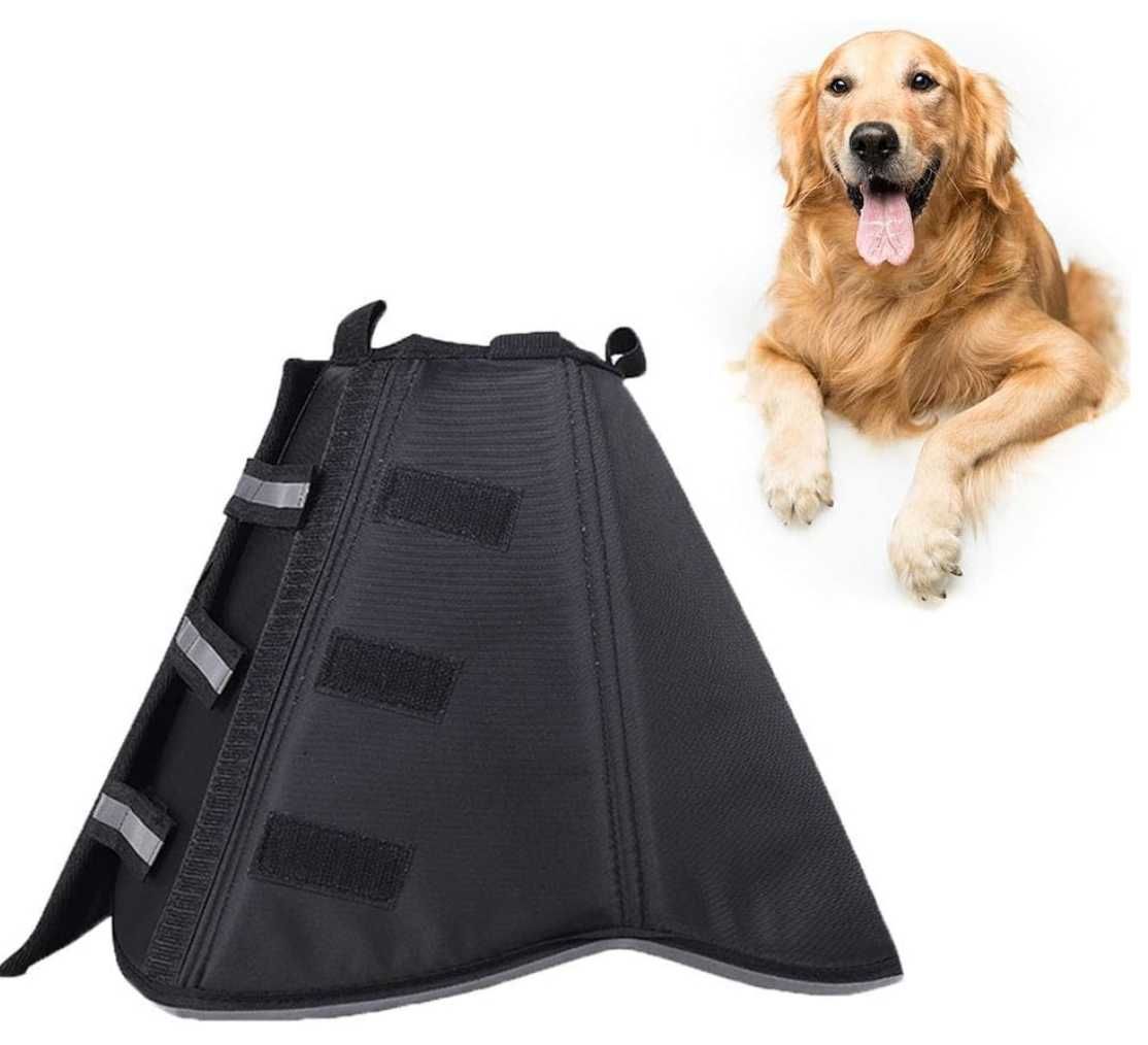 Kołnierz dla psa, obroża w kształcie stożka.