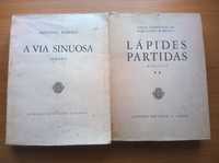 A Via Sinuosa e Lápides Partidas - Aquilino Ribeiro