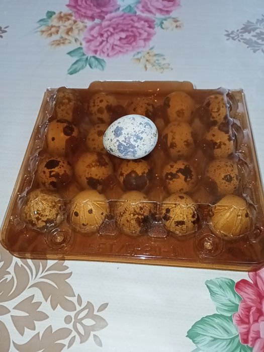 Перепелині яйця харчові