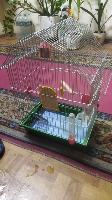 Клітка для папуг