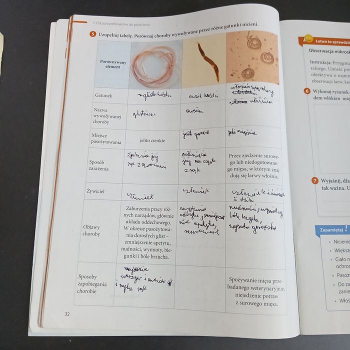 Zeszyt ćwiczeń biologia klasa 6 Puls życia Nowa Era 2022