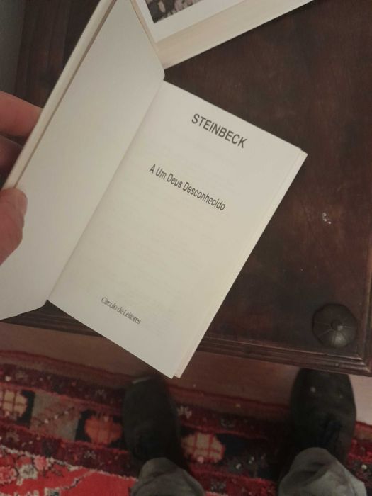 John steinbeck a um deus desconhecido