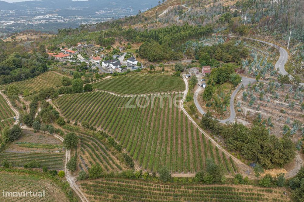 Quinta de Gonça