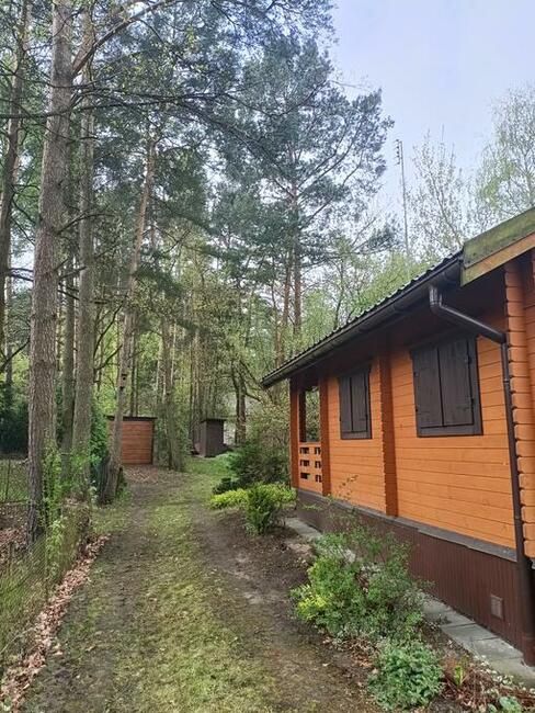 Wynajmę domek z działką do października